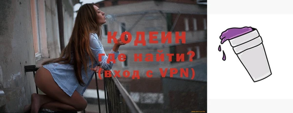 молекула духа Козельск