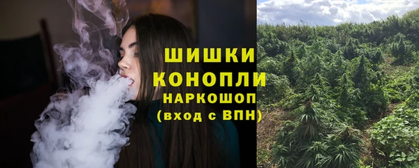 крисы Кинешма