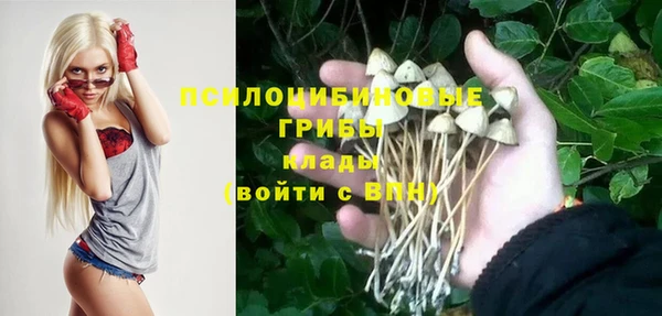 кокс Козловка